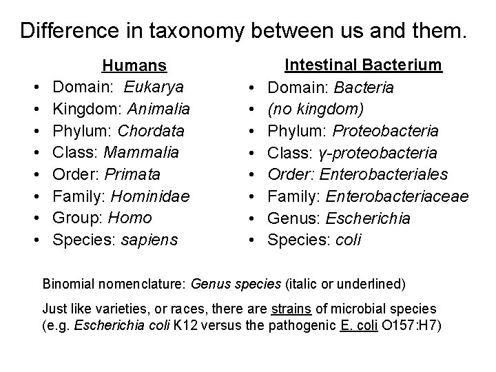 Difference in taxonomy between us and them. • • Humans Domain: Eukarya Kingdom: Animalia