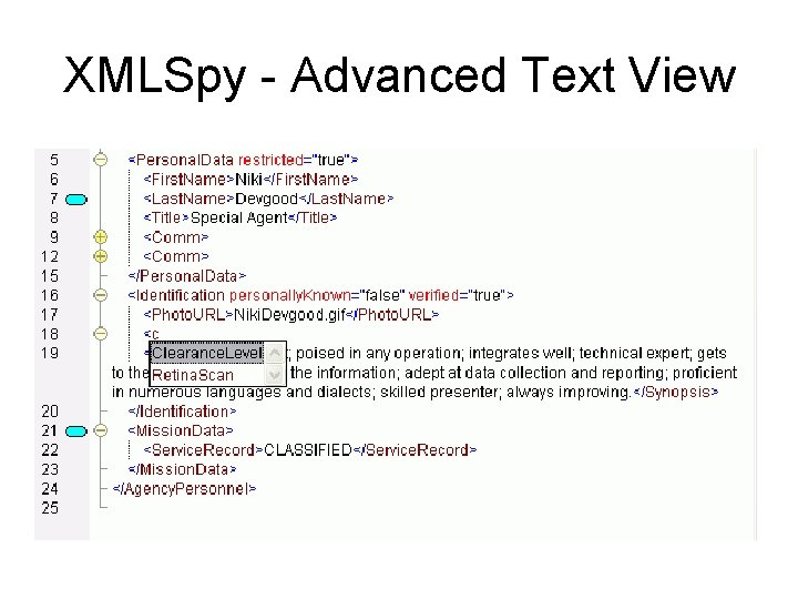 XMLSpy - Advanced Text View 