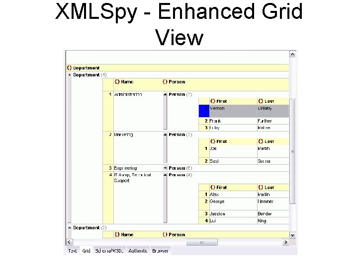 XMLSpy - Enhanced Grid View 