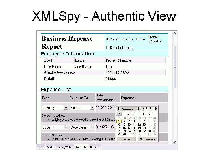 XMLSpy - Authentic View 