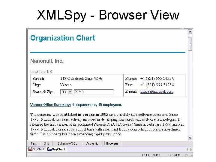 XMLSpy - Browser View 