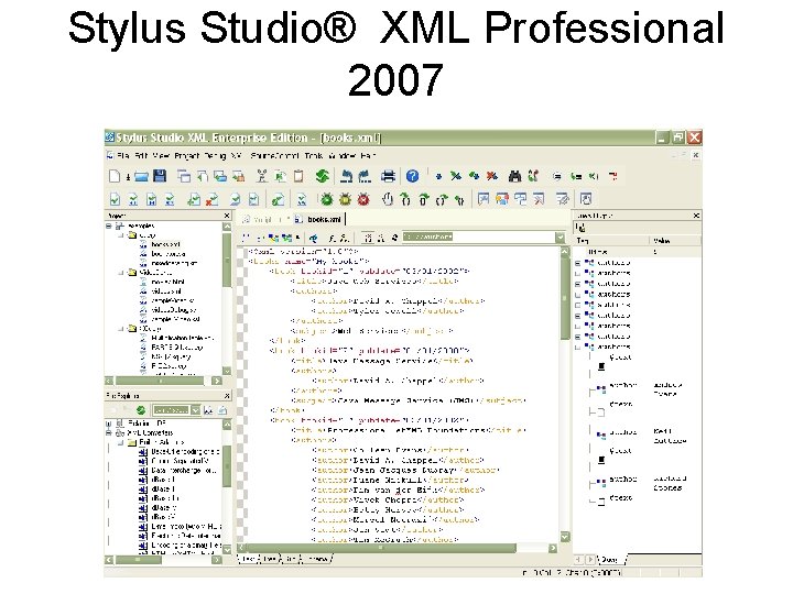 Stylus Studio® XML Professional 2007 