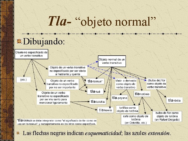 Tla- “objeto normal” Dibujando: Las flechas negras indican esquematicidad; las azules extensión. 