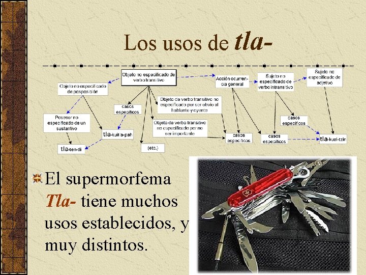 Los usos de tla- El supermorfema Tla- tiene muchos usos establecidos, y muy distintos.