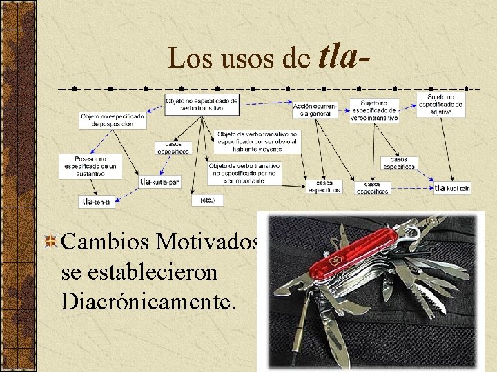 Los usos de tla- Cambios Motivados se establecieron Diacrónicamente. 