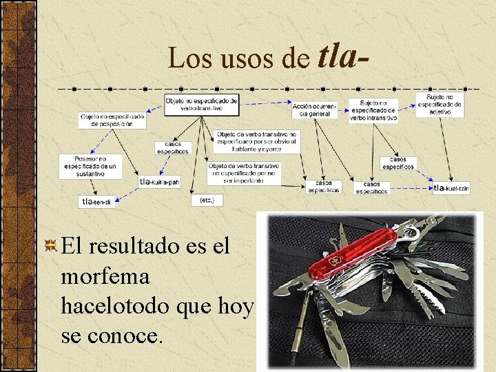 Los usos de tla- El resultado es el morfema hacelotodo que hoy se conoce.