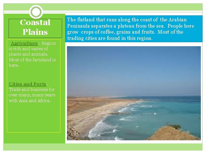 Coastal Plains §Agriculture- Region is rich and varies of plants and animals. Most of