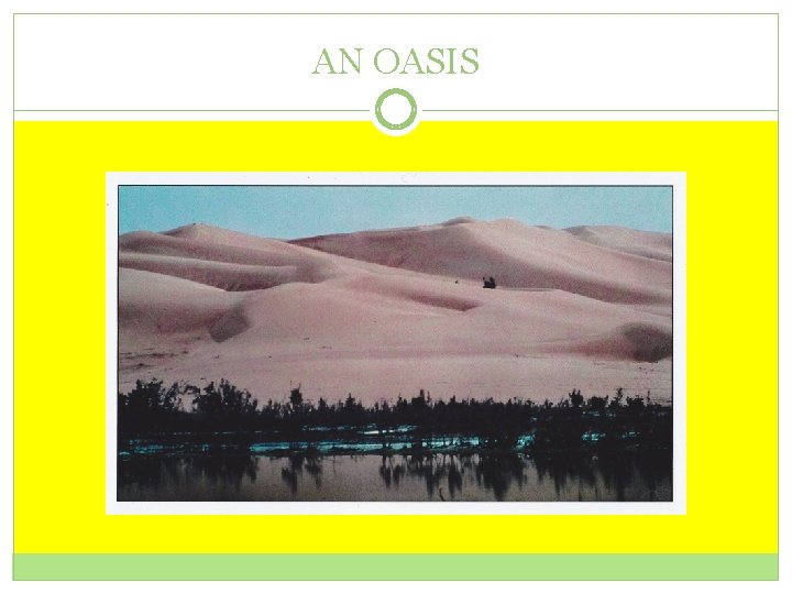AN OASIS 
