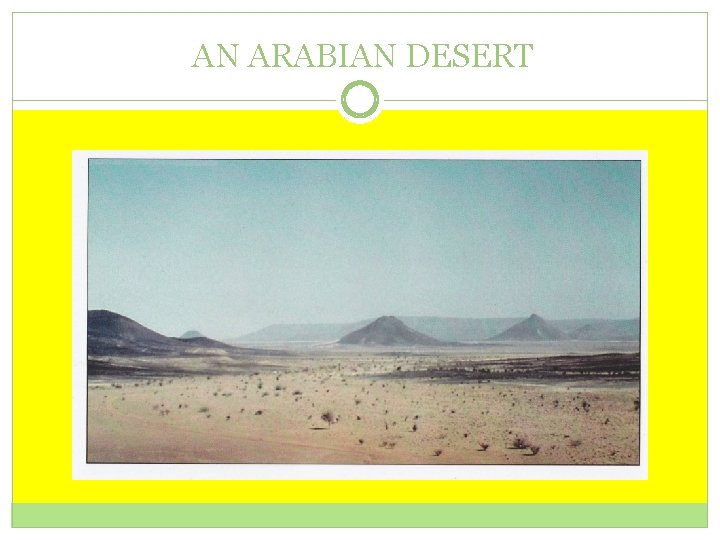 AN ARABIAN DESERT 