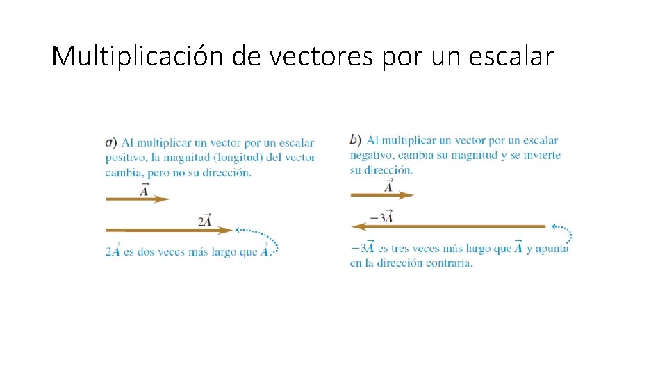 Multiplicación de vectores por un escalar 