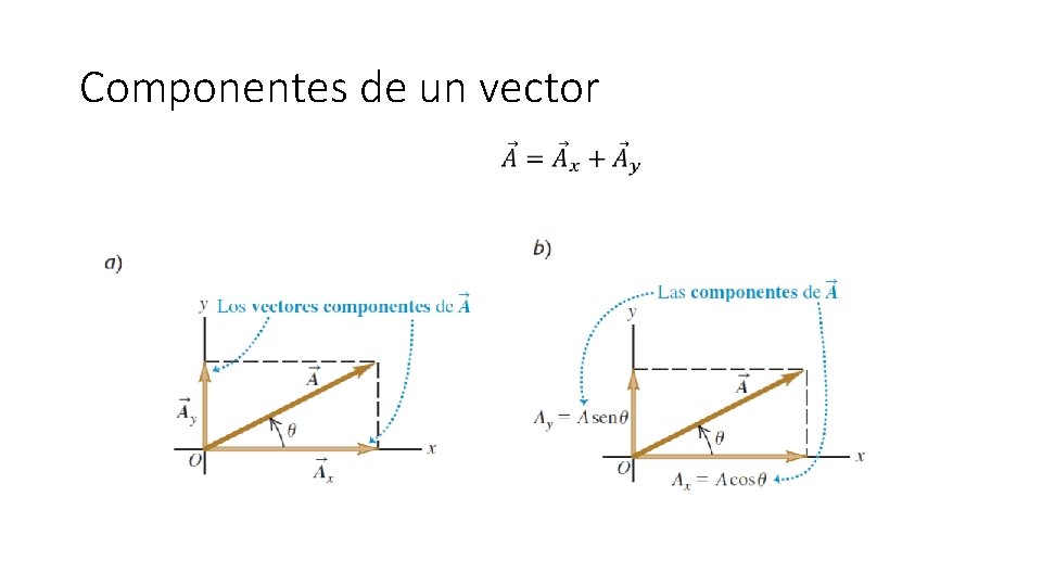 Componentes de un vector 