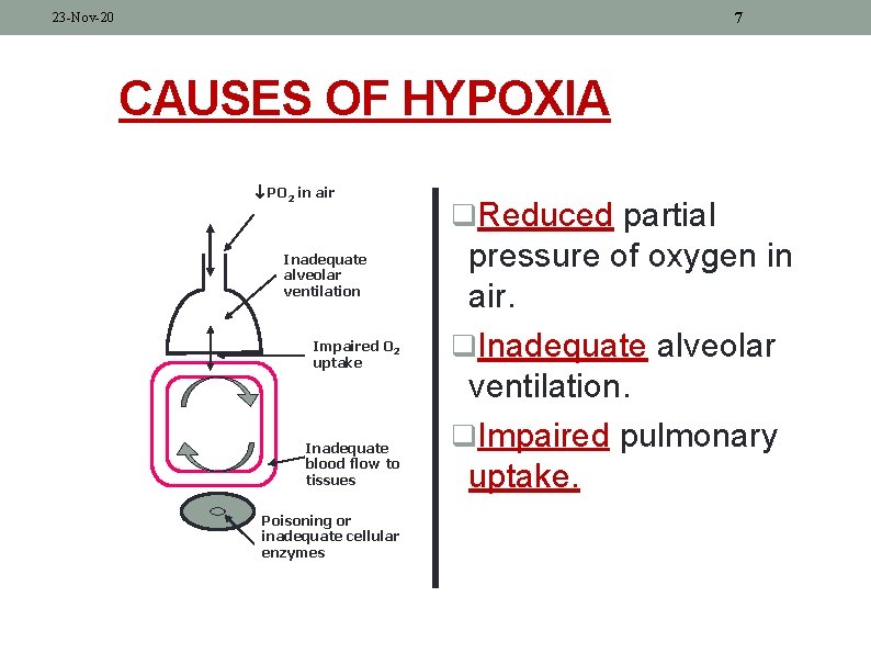 7 23 -Nov-20 CAUSES OF HYPOXIA PO 2 in air Inadequate alveolar ventilation Impaired