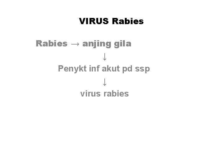 VIRUS Rabies → anjing gila ↓ Penykt inf akut pd ssp ↓ virus rabies