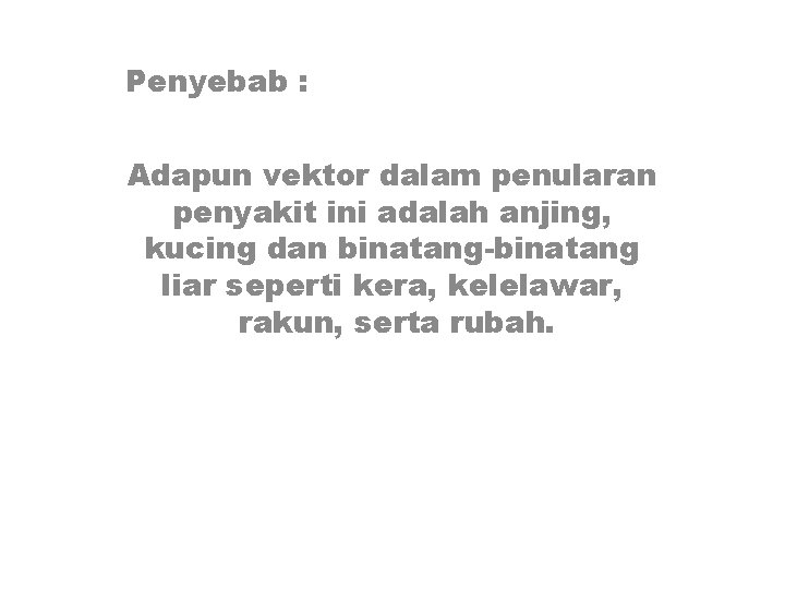 Penyebab : Adapun vektor dalam penularan penyakit ini adalah anjing, kucing dan binatang-binatang liar