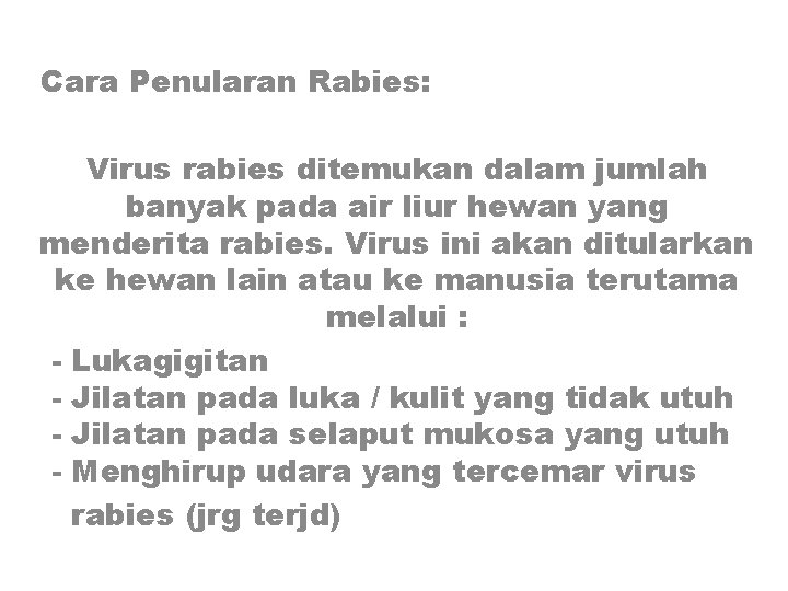 Cara Penularan Rabies: Virus rabies ditemukan dalam jumlah banyak pada air liur hewan yang
