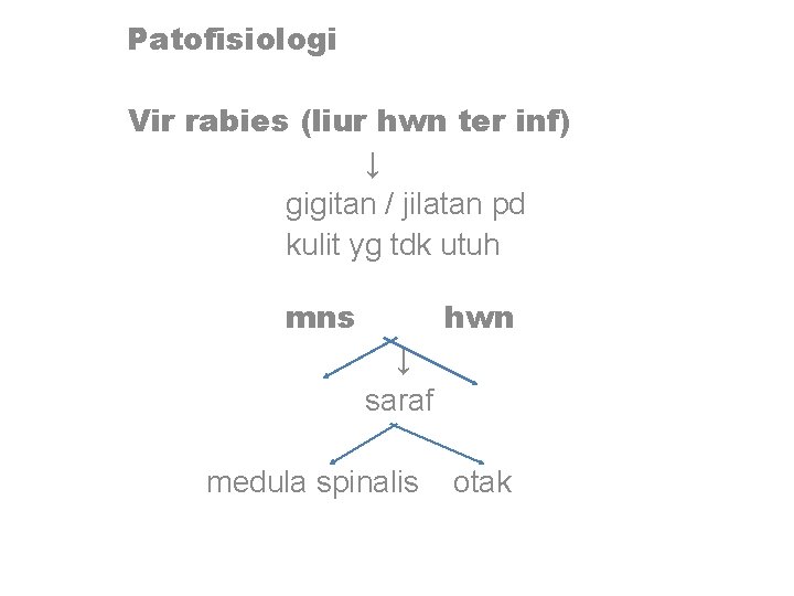 Patofisiologi Vir rabies (liur hwn ter inf) ↓ gigitan / jilatan pd kulit yg