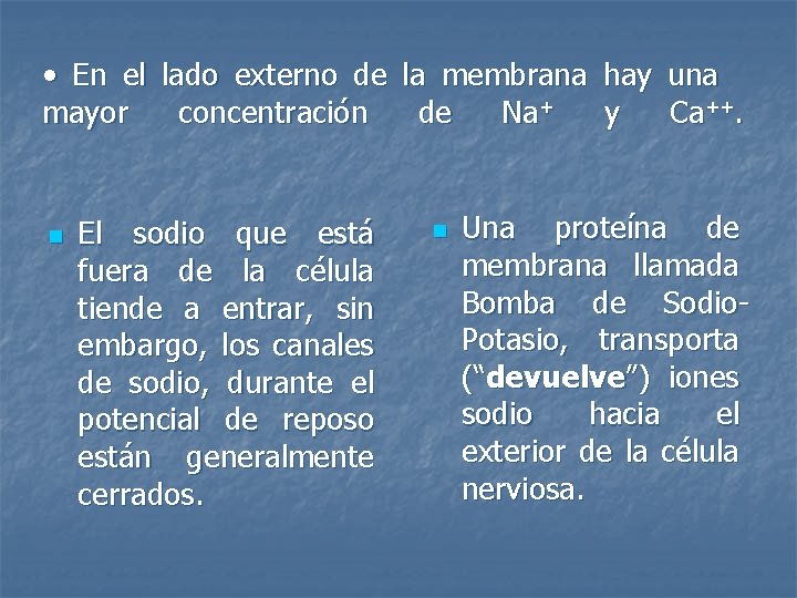  • En el lado externo de la membrana hay una mayor concentración de