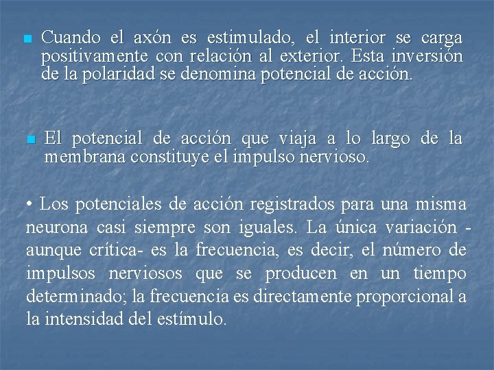 n n Cuando el axón es estimulado, el interior se carga positivamente con relación