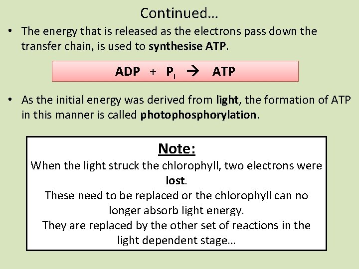 Continued… • The energy that is released as the electrons pass down the transfer