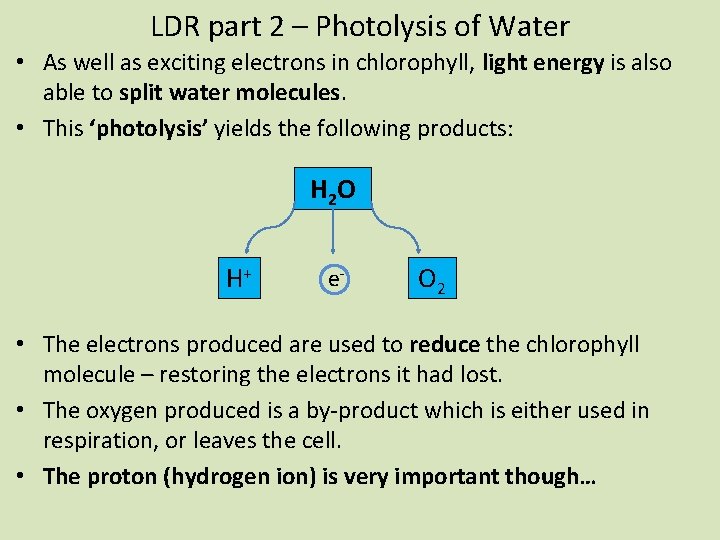 LDR part 2 – Photolysis of Water • As well as exciting electrons in