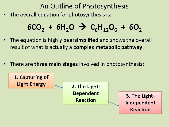 An Outline of Photosynthesis • The overall equation for photosynthesis is: 6 CO 2