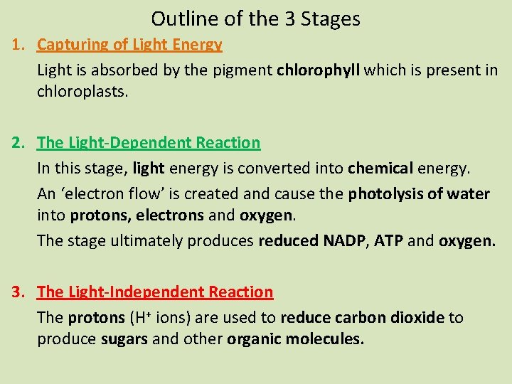Outline of the 3 Stages 1. Capturing of Light Energy Light is absorbed by