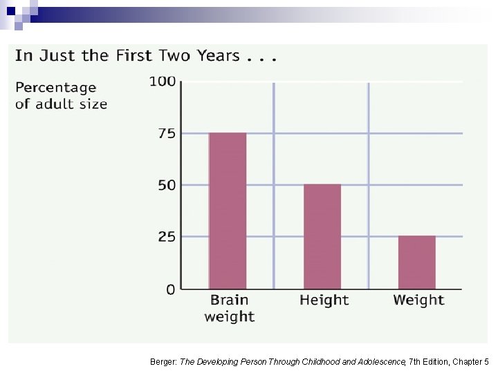 Berger: The Developing Person Through Childhood and Adolescence, 7 th Edition, Chapter 5 