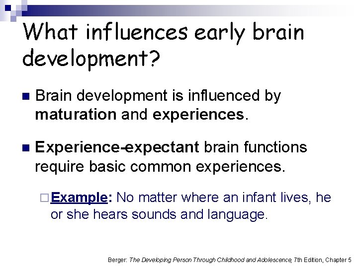 What influences early brain development? n Brain development is influenced by maturation and experiences.