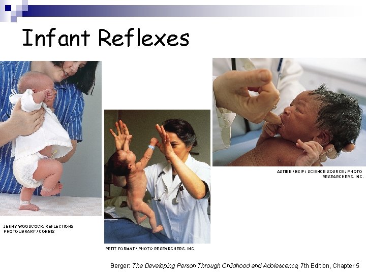 Infant Reflexes ASTIER / BSIP / SCIENCE SOURCE / PHOTO RESEARCHERS, INC. JENNY WOODCOCK;