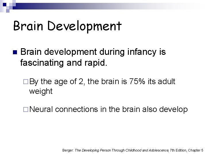 Brain Development n Brain development during infancy is fascinating and rapid. ¨ By the