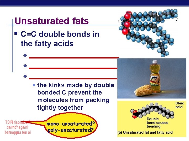 Unsaturated fats § C=C double bonds in the fatty acids ______________________ u § the