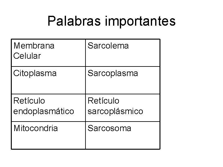 Palabras importantes Membrana Celular Sarcolema Citoplasma Sarcoplasma Retículo endoplasmático Retículo sarcoplásmico Mitocondria Sarcosoma 