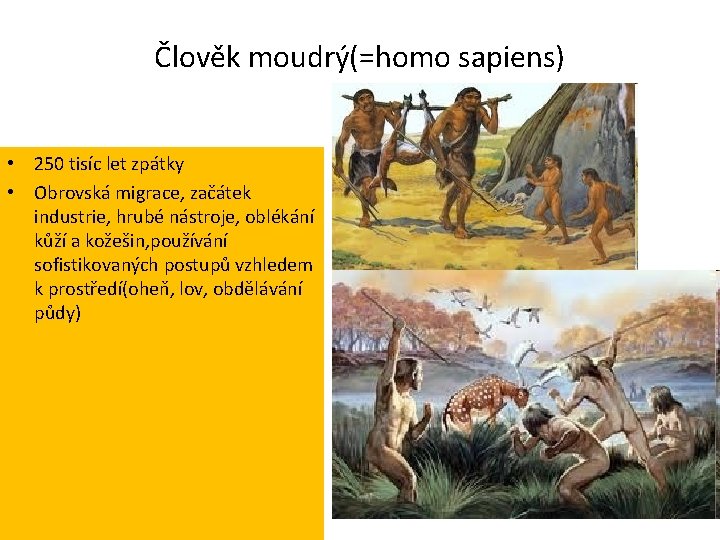 Člověk moudrý(=homo sapiens) • 250 tisíc let zpátky • Obrovská migrace, začátek industrie, hrubé