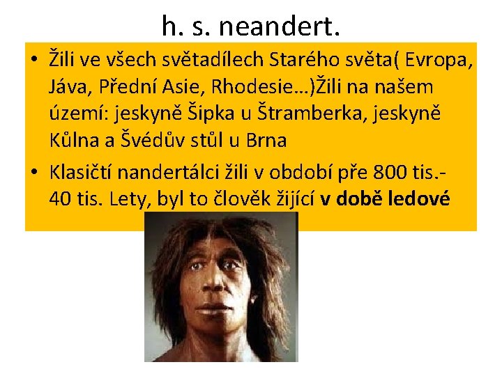 h. s. neandert. • Žili ve všech světadílech Starého světa( Evropa, Jáva, Přední Asie,