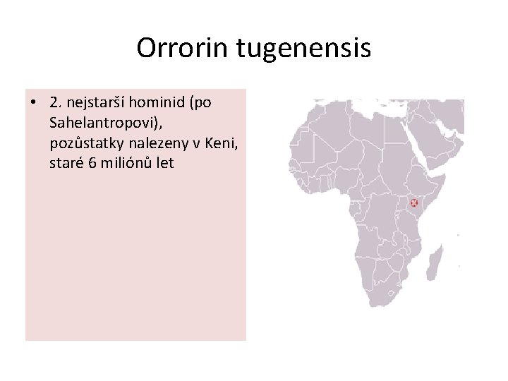 Orrorin tugenensis • 2. nejstarší hominid (po Sahelantropovi), pozůstatky nalezeny v Keni, staré 6