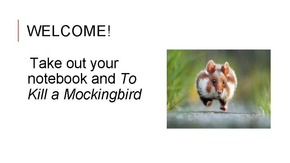 WELCOME! Take out your notebook and To Kill a Mockingbird 