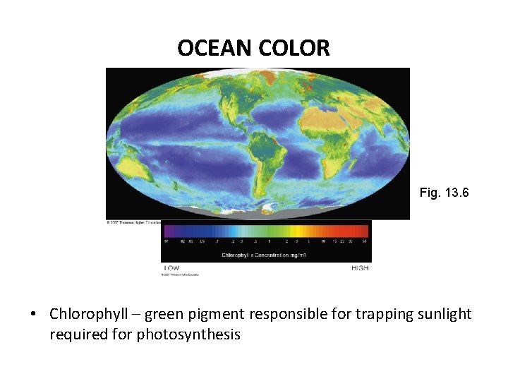OCEAN COLOR Fig. 13. 6 • Chlorophyll – green pigment responsible for trapping sunlight