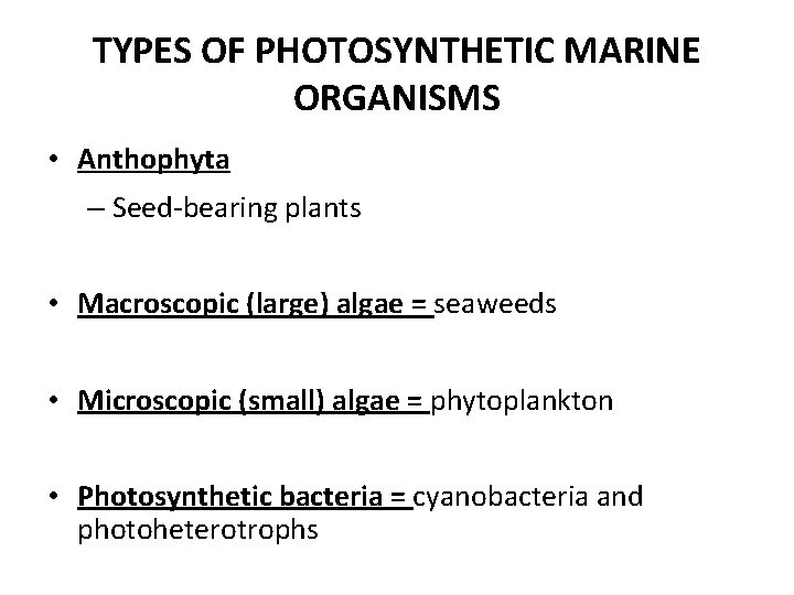 TYPES OF PHOTOSYNTHETIC MARINE ORGANISMS • Anthophyta – Seed-bearing plants • Macroscopic (large) algae