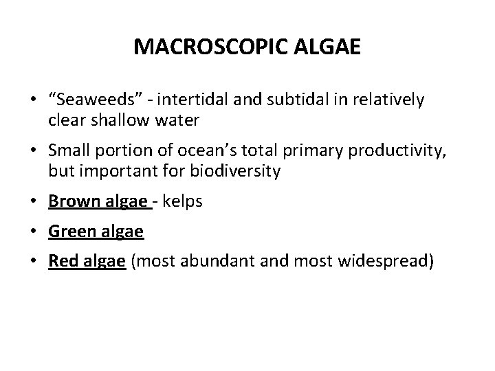 MACROSCOPIC ALGAE • “Seaweeds” - intertidal and subtidal in relatively clear shallow water •