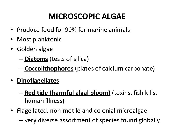 MICROSCOPIC ALGAE • Produce food for 99% for marine animals • Most planktonic •