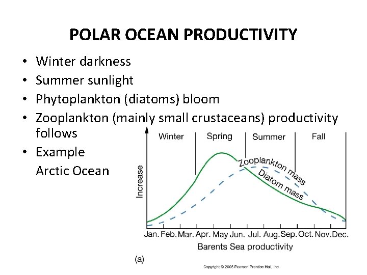 POLAR OCEAN PRODUCTIVITY Winter darkness Summer sunlight Phytoplankton (diatoms) bloom Zooplankton (mainly small crustaceans)