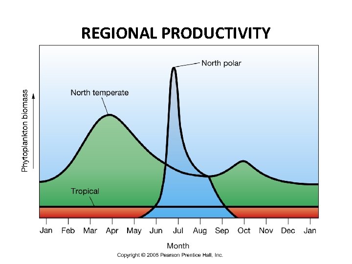 REGIONAL PRODUCTIVITY 