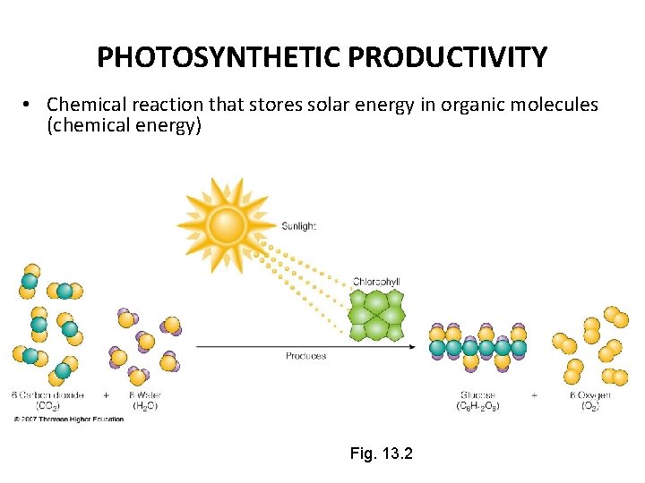 PHOTOSYNTHETIC PRODUCTIVITY • Chemical reaction that stores solar energy in organic molecules (chemical energy)