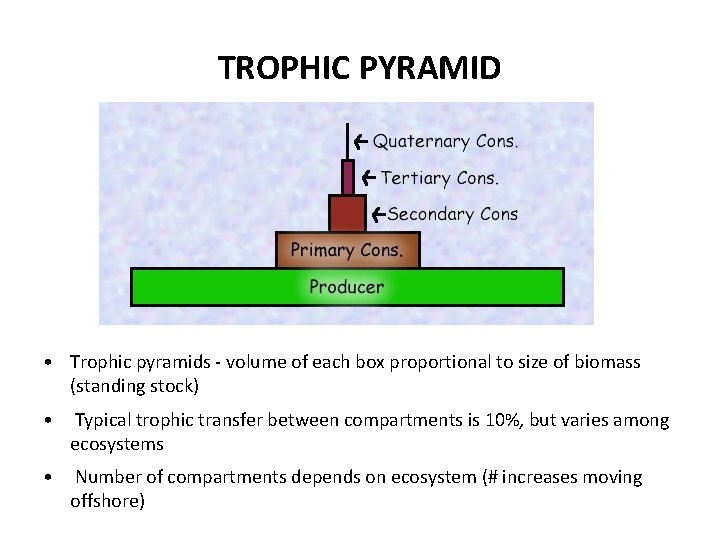 TROPHIC PYRAMID • Trophic pyramids - volume of each box proportional to size of