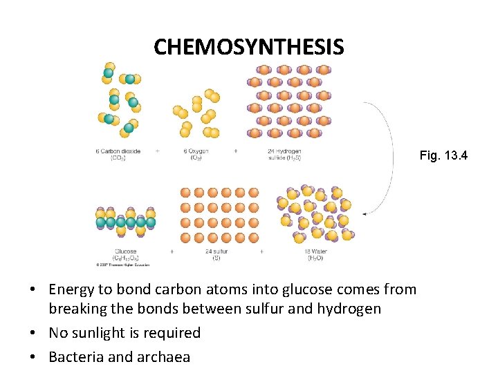 CHEMOSYNTHESIS Fig. 13. 4 • Energy to bond carbon atoms into glucose comes from