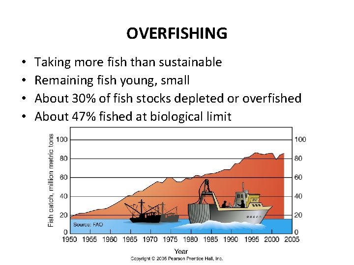 OVERFISHING • • Taking more fish than sustainable Remaining fish young, small About 30%