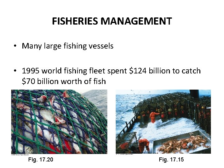 FISHERIES MANAGEMENT • Many large fishing vessels • 1995 world fishing fleet spent $124