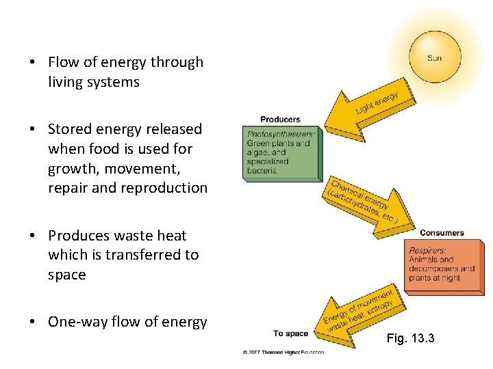  • Flow of energy through living systems • Stored energy released when food