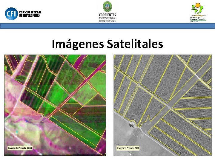 Imágenes Satelitales 