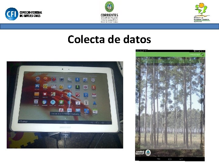 Colecta de datos 